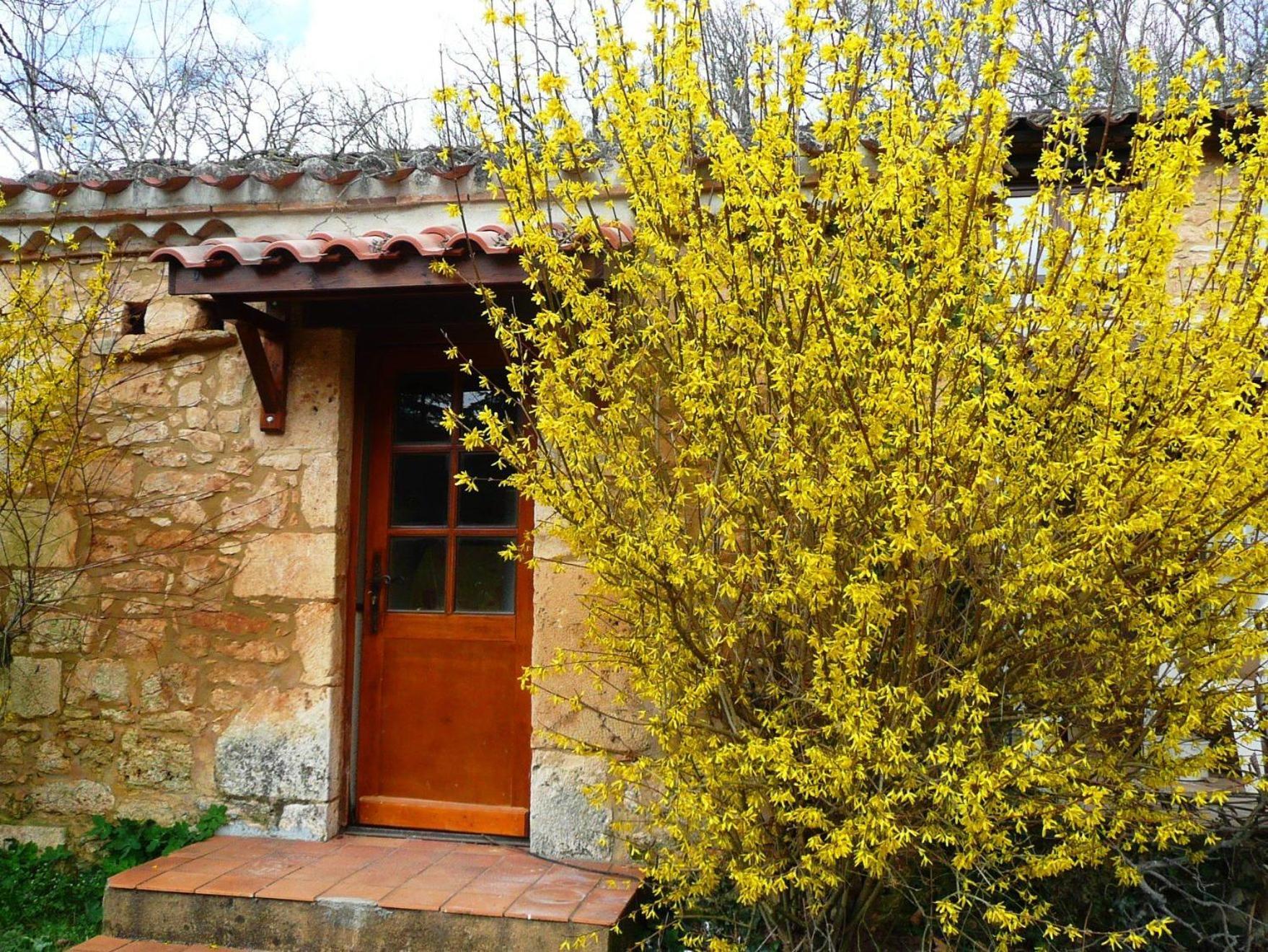 Villa Domaine De Gavaudun Habitación foto