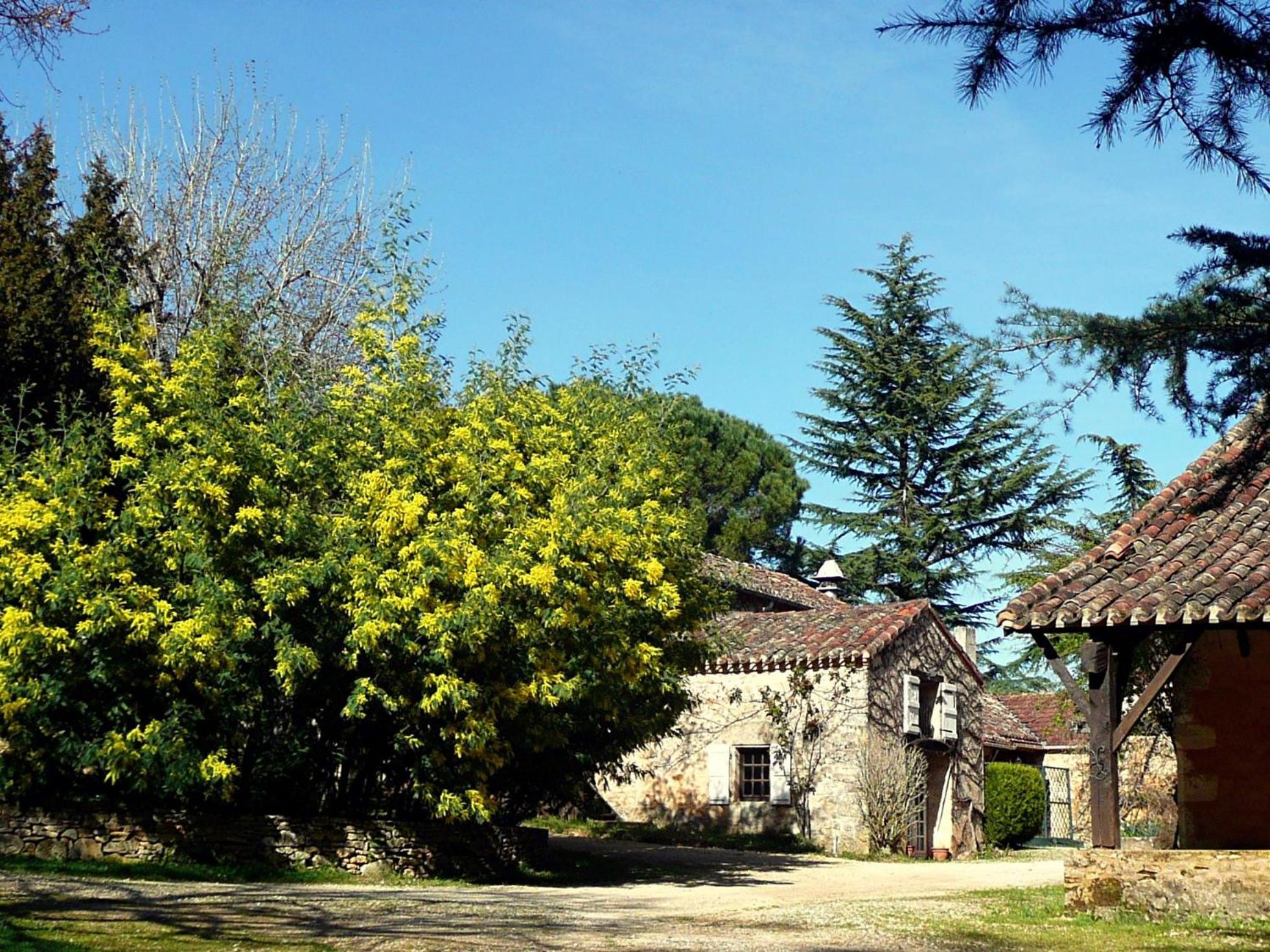Villa Domaine De Gavaudun Exterior foto
